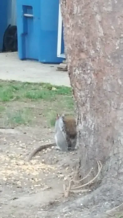 Glasgow Court Enterprises LLC Picture 7