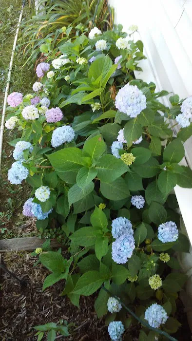 Glasgow Court Enterprises LLC Picture 6