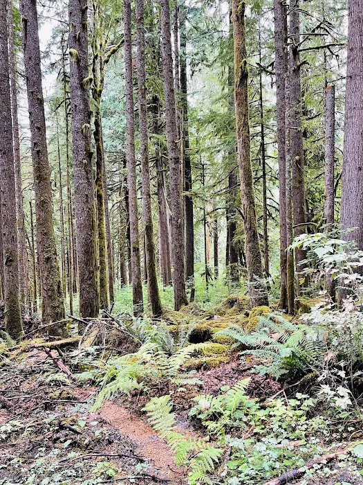 Glasgow Court Enterprises LLC Picture 12