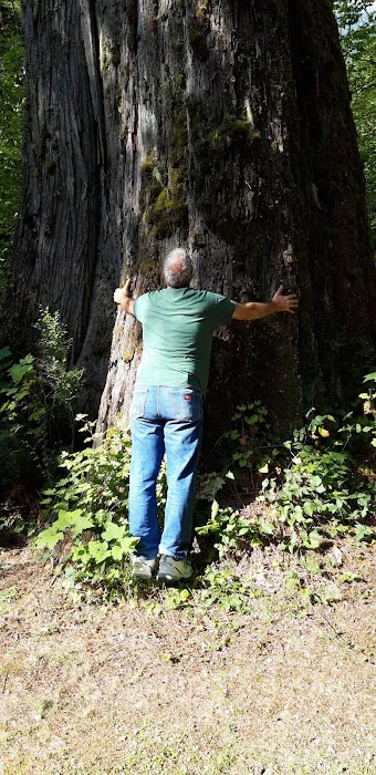 Glasgow Court Enterprises LLC Picture 18