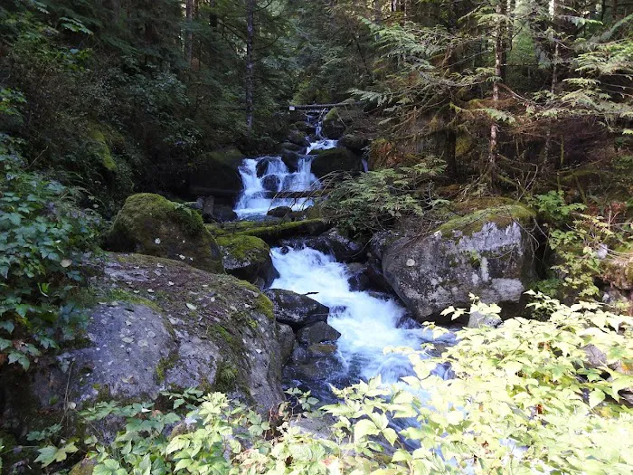 Glasgow Court Enterprises LLC Picture 26