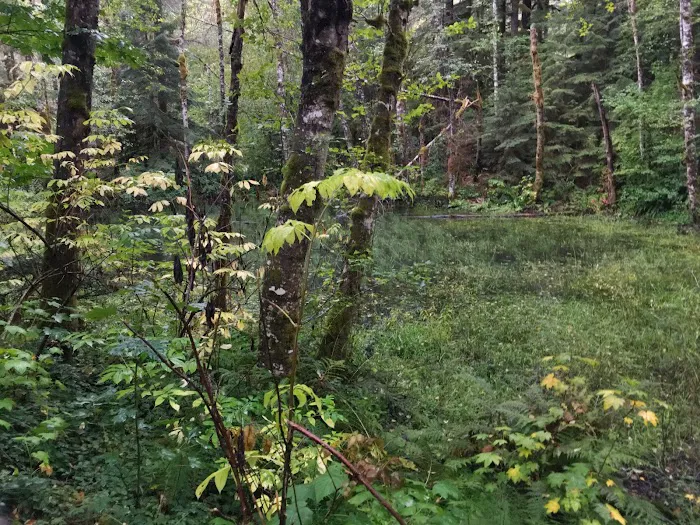 Glasgow Court Enterprises LLC Picture 28