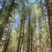 Deer Creek Campground ico