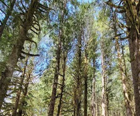 Deer Creek Campground