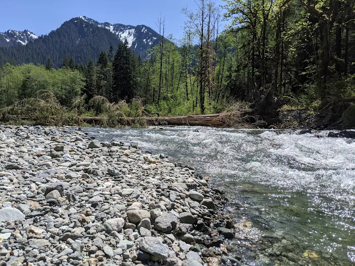 Dick Sperry Campground Picture 5