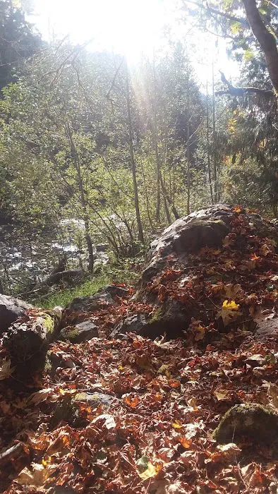 Dick Sperry Campground Picture 3