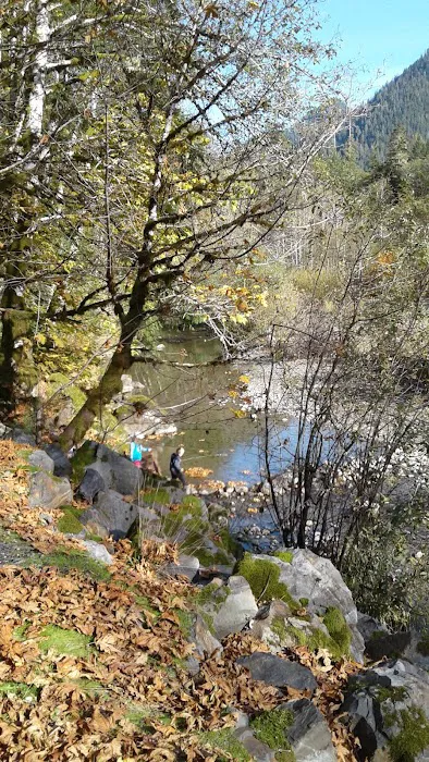 Dick Sperry Campground Picture 2