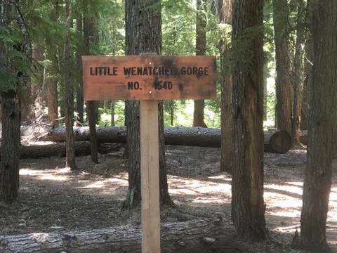 Lake Creek Campground - Little Wenatchee River Picture 3