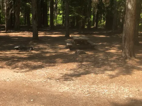 Lake Creek Campground - Little Wenatchee River Picture 5