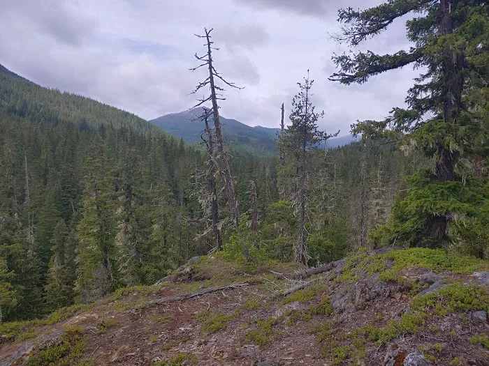 Lake Creek Campground - Little Wenatchee River Picture 6