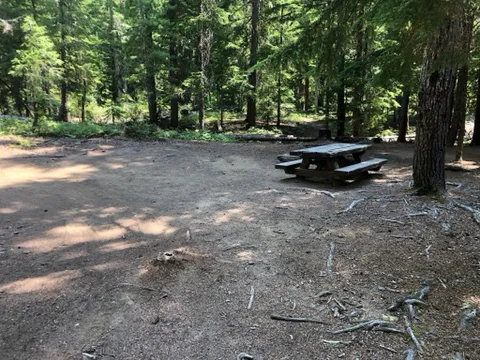 Lake Creek Campground - Little Wenatchee River Picture 4