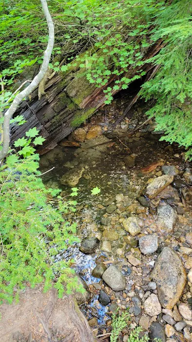 Lake Creek Campground - Little Wenatchee River Picture 9