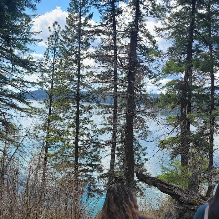 Lake Creek Campground - Little Wenatchee River Picture 10