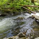 Porter Creek Campground