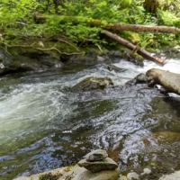 Porter Creek Campground ico