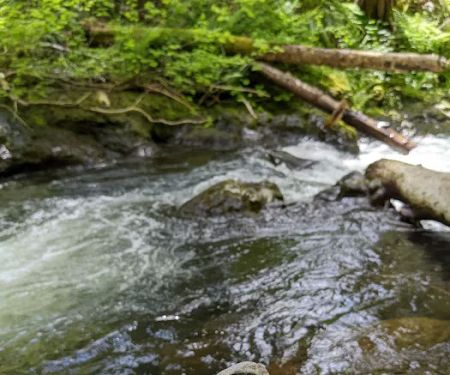 Porter Creek Campground