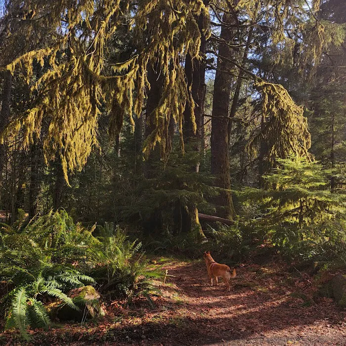 Porter Creek Campground Picture 3