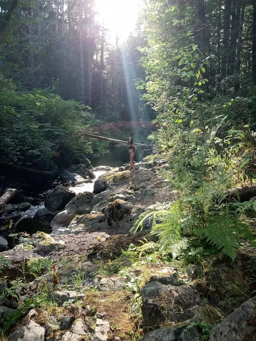 Porter Creek Campground Picture 9