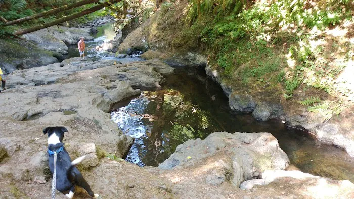 Porter Creek Campground Picture 6