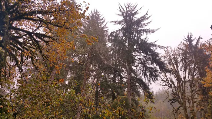 Porter Creek Campground Picture 7
