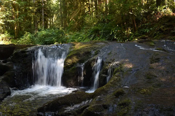 Porter Creek Campground Picture 10