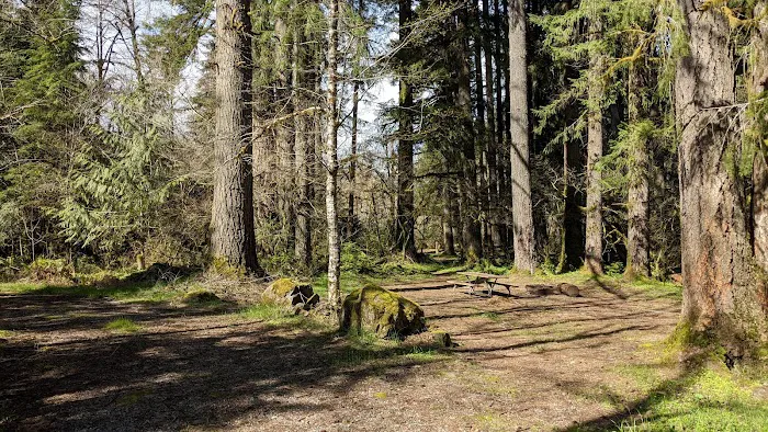 Fall Creek Campground Picture 1