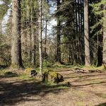 Fall Creek Campground