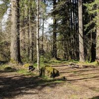Fall Creek Campground ico