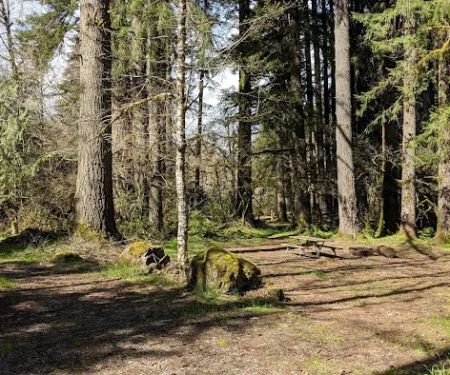 Fall Creek Campground