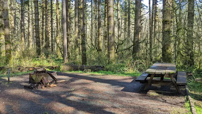 Fall Creek Campground Picture 2