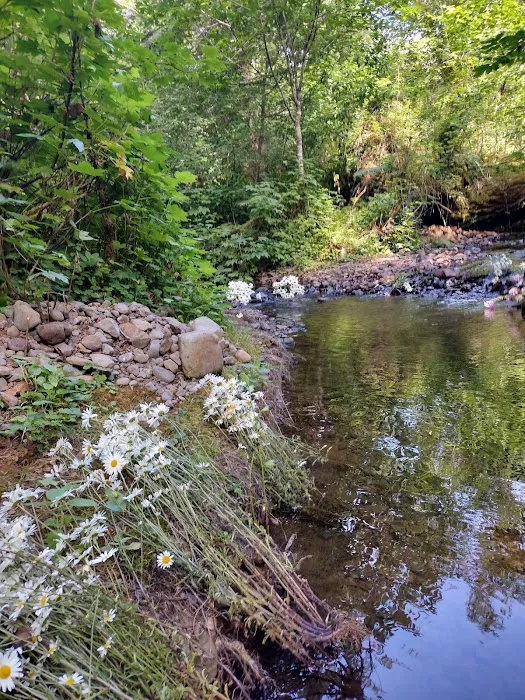 Fall Creek Campground Picture 8