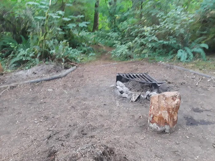 Fall Creek Campground Picture 9