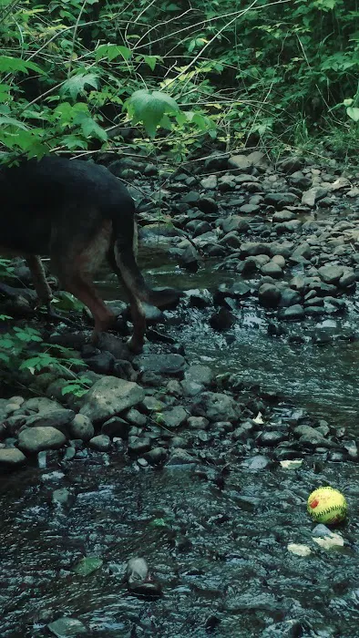 Fall Creek Campground Picture 10