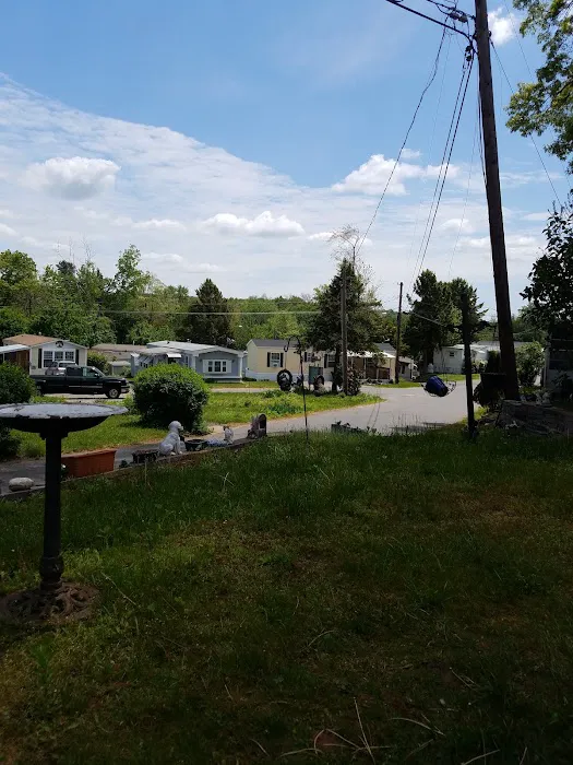 Vernon Village Inc Picture 2