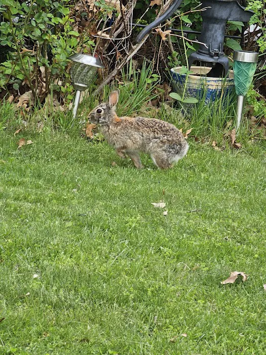 Vernon Village Inc Picture 4