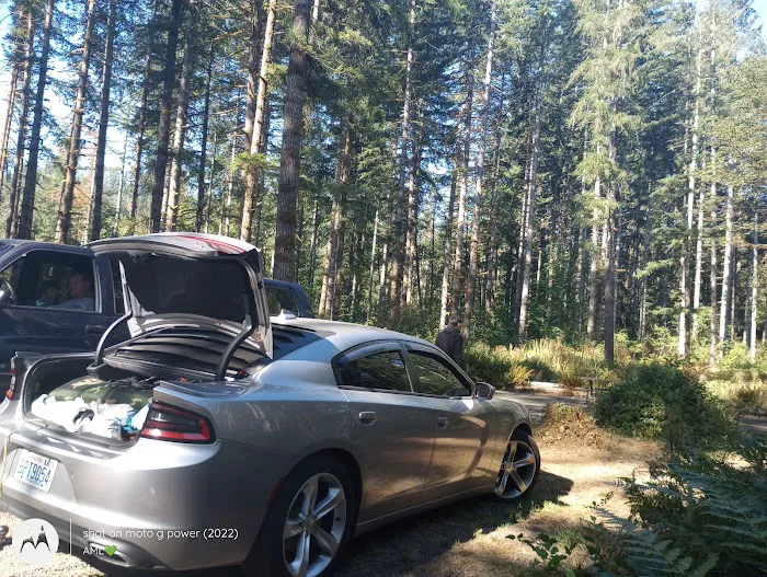 Middle Waddell Campground Picture 1