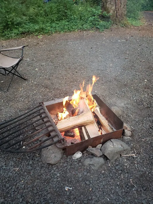 Middle Waddell Campground Picture 4