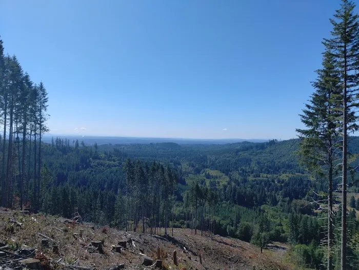 Middle Waddell Campground Picture 9