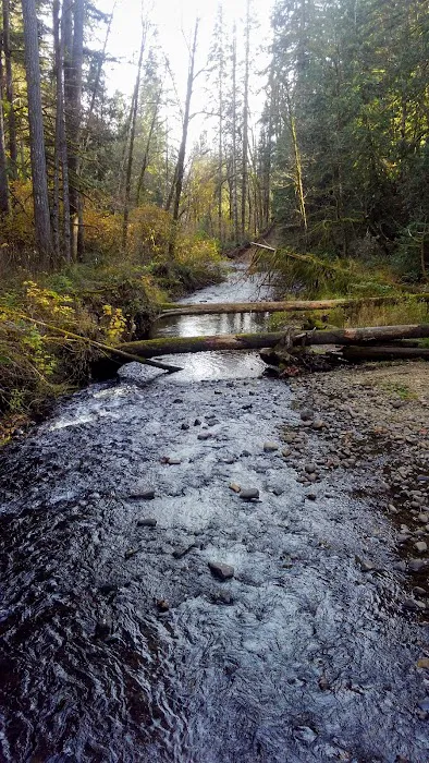 Middle Waddell Campground Picture 7