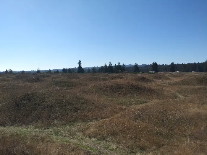 Middle Waddell Campground Picture 10