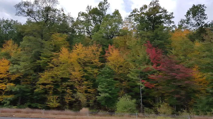 Tenino Quarry Campground Picture 6