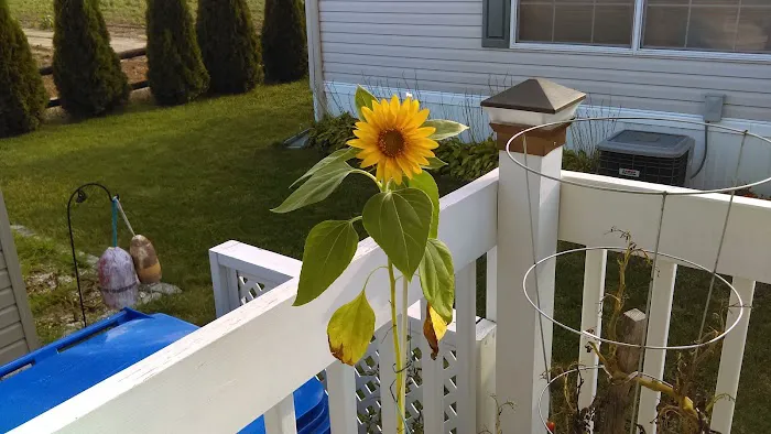 Red Hill Mobile Park Picture 2