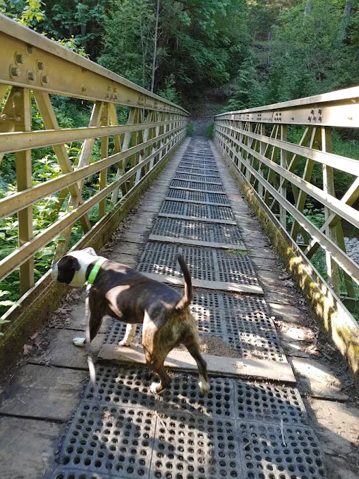 Margaret McKenny Campground Picture 8