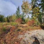 Margaret McKenny Campground