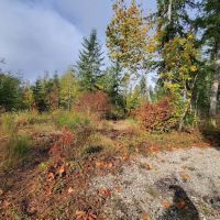 Margaret McKenny Campground ico