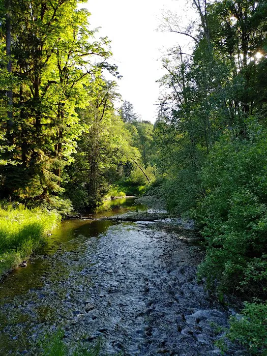 Margaret McKenny Campground Picture 4