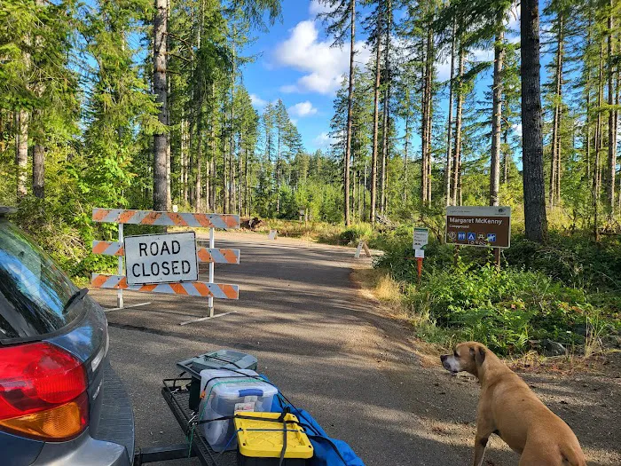 Margaret McKenny Campground Picture 3