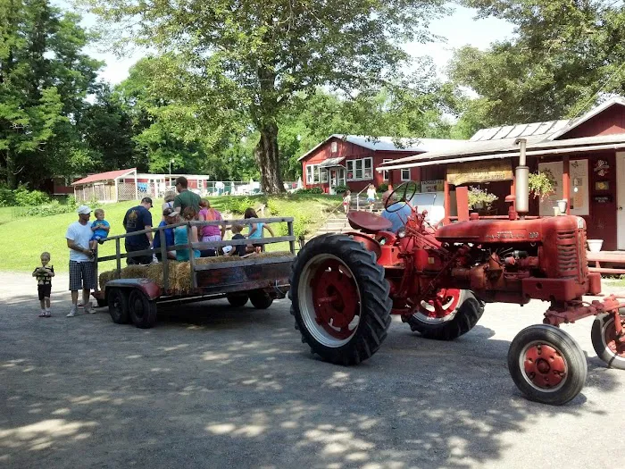 Brook n Wood Family Campground Picture 8