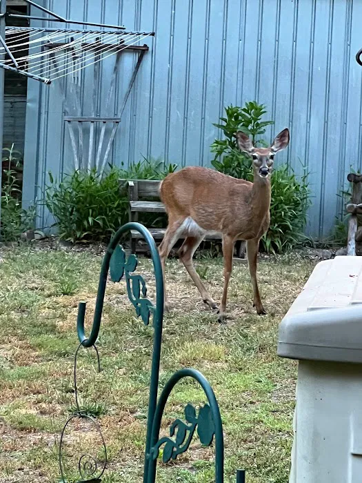 Brook n Wood Family Campground Picture 10