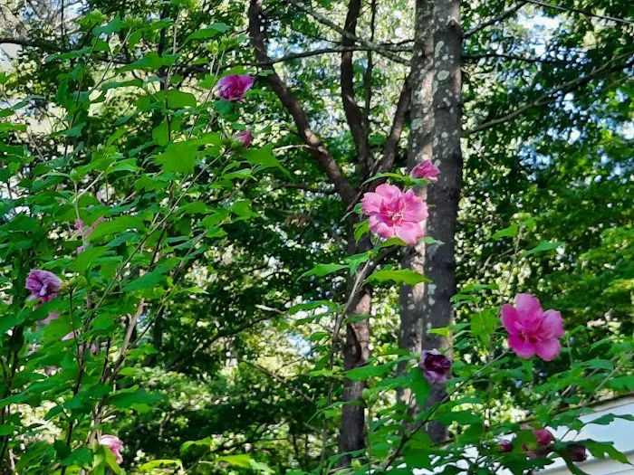 Brookside Mobile Home Park Picture 4